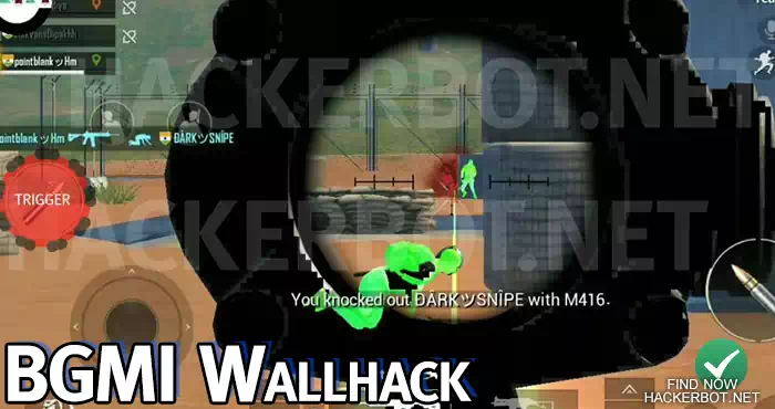 bgmi-wallhack-esp-walls